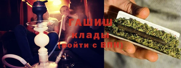 мдпв Ельня