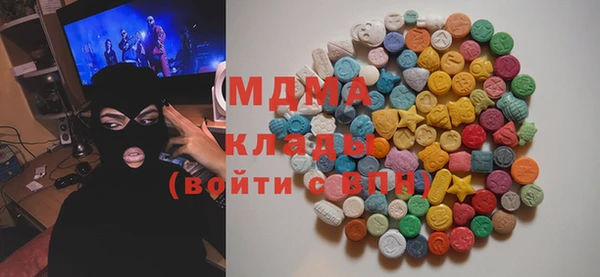 мдпв Ельня