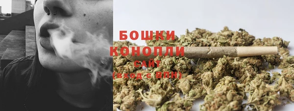мдпв Ельня