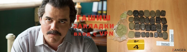 мдпв Ельня