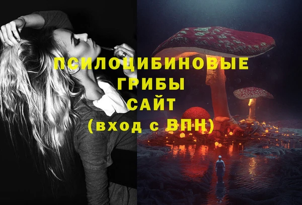 индика Заволжье