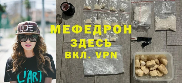 мдпв Ельня