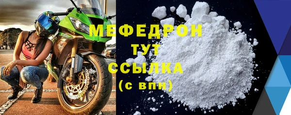 мдпв Ельня