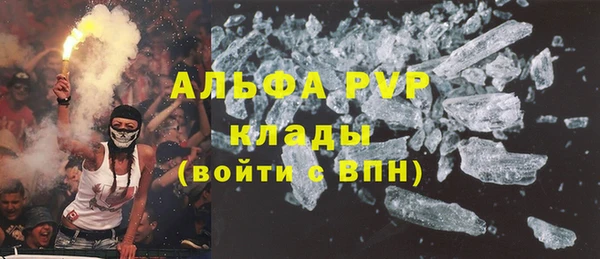 индика Заволжье