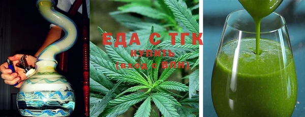 мдпв Ельня