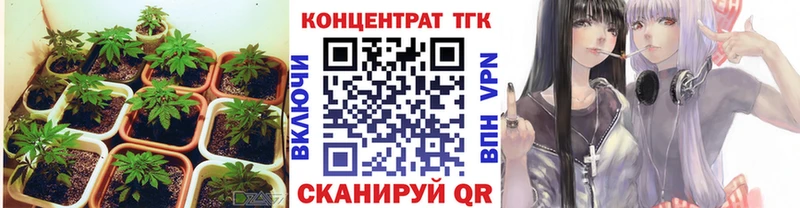 Купить  Рыбное  Дистиллят ТГК гашишное масло 